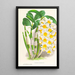 Dendrobium thyrsiflorum - Jean Jules Linden — oprawiony obraz na ścianie