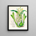 Epidendrum prismatocarpum - Jean Jules Linden — oprawiony obraz na ścianie