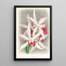 Laelia elegans - Jean Jules Linden — oprawiony obraz na ścianie