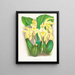 Lycaste costata - Jean Jules Linden — oprawiony obraz na ścianie
