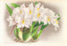 Odontoglossum alexandrae - Jean Jules Linden — widok dzieła