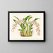 Odontoglossum lucianianum - Jean Jules Linden — oprawiony obraz na ścianie