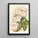 Phalaenopsis Stuartiana - Jean Jules Linden — oprawiony obraz na ścianie