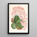 Phalaenopsis sanderiana - Jean Jules Linden — oprawiony obraz na ścianie