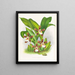 Zygopetalum jorisinum - Jean Jules Linden — oprawiony obraz na ścianie