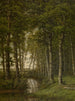 Pejzaż samotności w okolicach Schilde - Jean-Pierre François Lamorinière — widok dzieła