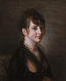 Portret damy - Jean-Pierre Saint-Ours — widok dzieła
