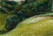 Pole w Asturii, San Esteban de Pravia - Joaquín Sorolla — widok dzieła