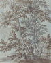 nieco osadzenia brzóz - Johann Caspar Huber — widok dzieła
