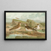 Charadrius morinellus Arenaria interpres Charadrius alexandrinus - Johann Friedrich Naumann — oprawiony obraz na ścianie