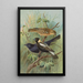Dolichonyx oryzivorus Molothrus Cabanisii Cassin - Johann Friedrich Naumann — oprawiony obraz na ścianie