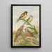Emberiza aureola Pall Emberiza caesia Cretschmar - Johann Friedrich Naumann — oprawiony obraz na ścianie