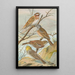 Emberiza leucocephala Gmel Emberiza cia Emberiza cinerea Strickl - Johann Friedrich Naumann — oprawiony obraz na ścianie