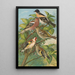 Fringilla montifringilla Fringilla coelebs Carduelis carduelis - Johann Friedrich Naumann — oprawiony obraz na ścianie