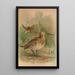 Gallinago major - Johann Friedrich Naumann — oprawiony obraz na ścianie