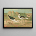 Himantopus himantopus Recurvirostra avocetta - Johann Friedrich Naumann — oprawiony obraz na ścianie