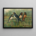 Hirundo rustica Hirundo rustica Savignii - Johann Friedrich Naumann — oprawiony obraz na ścianie