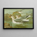 Goéland argenté Brunn - Johann Friedrich Naumann — oprawiony obraz na ścianie