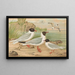 Larus minutus Pall, Larus ridibundus, Larus melanocephalus, Natt, Larus minutus Pall - Johann Friedrich Naumann — oprawiony obraz na ścianie