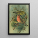 Loxia pityopsittacus Bechst - Johann Friedrich Naumann — oprawiony obraz na ścianie