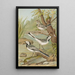 Motacilla alba - Johann Friedrich Naumann — oprawiony obraz na ścianie