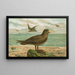 Ossifraga gigantea GMEL Wielki petrel - Johann Friedrich Naumann — oprawiony obraz na ścianie