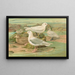 Pagophila eburnea, Phipps, Larus leucopterus, Faber - Johann Friedrich Naumann — oprawiony obraz na ścianie