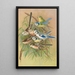 Parus coeruleus Aegithalus caudatus caudatus vagans caudatus Irbyi Parus cyanus Pall - Johann Friedrich Naumann — oprawiony obraz na ścianie