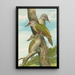 Picus canus - Johann Friedrich Naumann — oprawiony obraz na ścianie