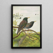 Sturnus vulgaris - Johann Friedrich Naumann — oprawiony obraz na ścianie