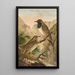 Turdus atrigularis - Johann Friedrich Naumann — oprawiony obraz na ścianie