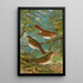 Turdus fuscescens Turdus pallassii Turdus swainsonii - Johann Friedrich Naumann — oprawiony obraz na ścianie