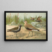 Vanellus gregarius Pall Charadrius dominicus St Muller - Johann Friedrich Naumann — oprawiony obraz na ścianie