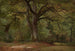 Las dębów w Solling - Johann Wilhelm Schirmer — widok dzieła