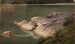 Rive rocheuse - Johann Wilhelm Schirmer — widok dzieła