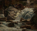 Ruisseau de montagne suisse - Johann Wilhelm Schirmer — widok dzieła