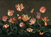 Martwa natura z tulipanami - Johannes Bosschaert — widok dzieła