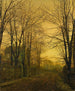 Październik po świetle - John Atkinson Grimshaw — widok dzieła