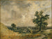 pejzaż angielski - John Constable — widok dzieła