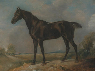 Czarny koń Constable - John Constable — widok dzieła