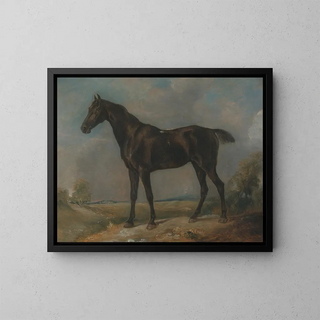 Czarny koń Constable - John Constable — oprawiony obraz na ścianie