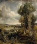 La vallée de Dedham - John Constable — widok dzieła