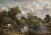 Biały koń - John Constable — widok dzieła