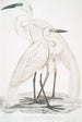 Biały czysty heron Ardea modesta 2 Heron z czarnym dziobem Ardea nigrirostris - John Edward Gray — widok dzieła