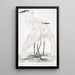 Biały czysty heron Ardea modesta 2 Heron z czarnym dziobem Ardea nigrirostris - John Edward Gray — oprawiony obraz na ścianie