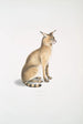 Chat allié Felis affinis - John Edward Gray — widok dzieła