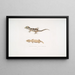 Beau Cyrtodactylus Cyrtodactylus pulchellus - John Edward Gray — oprawiony obraz na ścianie