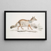 Renard Bengal Canis Vulpes Bengalensis Canis Kokree - John Edward Gray — oprawiony obraz na ścianie