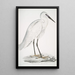 Biały heron indyjski Ardea orientalis - John Edward Gray — oprawiony obraz na ścianie