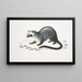 Paradoxe de Pallas, Paradoxurus Pallasii, Indie - John Edward Gray — oprawiony obraz na ścianie